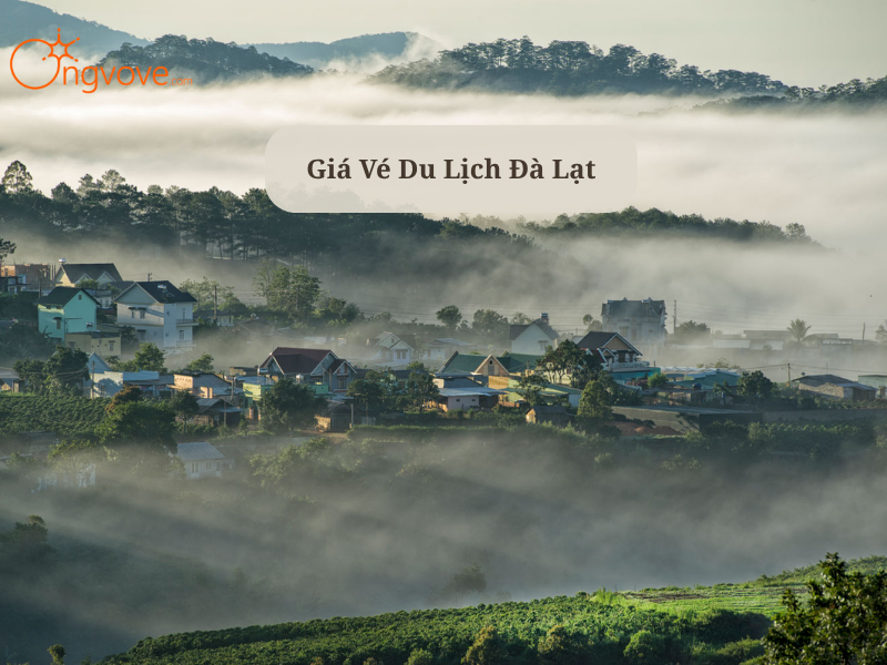 Các Loại Vé Du Lịch Đà Lạt : Bảng Giá & Bí Kíp Chọn Vé Tiết Kiệm