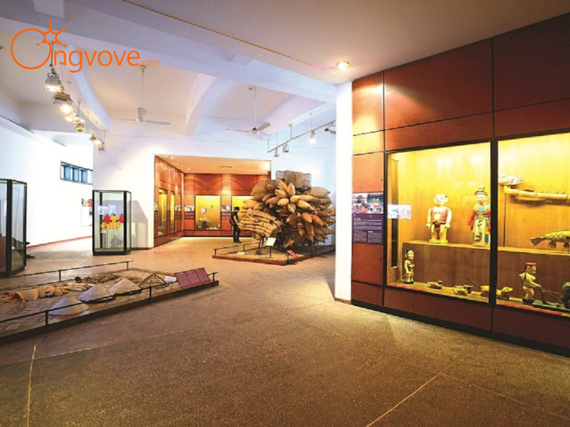 Khám Phá Tri Thức Tại Các Bảo Tàng Hàng Đầu