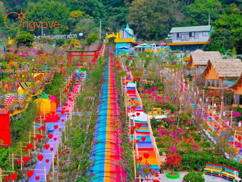 Lạc Vào Thế Giới Cổ Tích Tại Các Vườn Hoa & Nông Trại