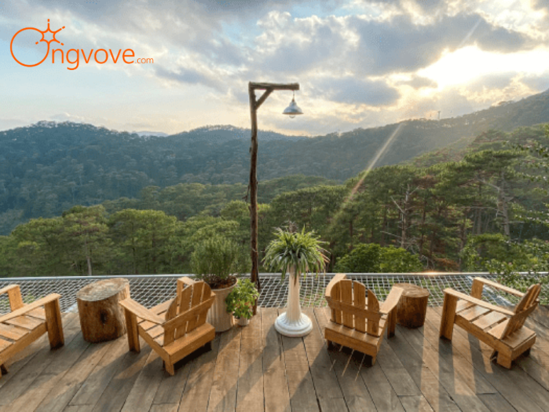 Mẹo "Săn" Vé Thông Minh Từ Kinh Nghiệm Của Ongvove Travel