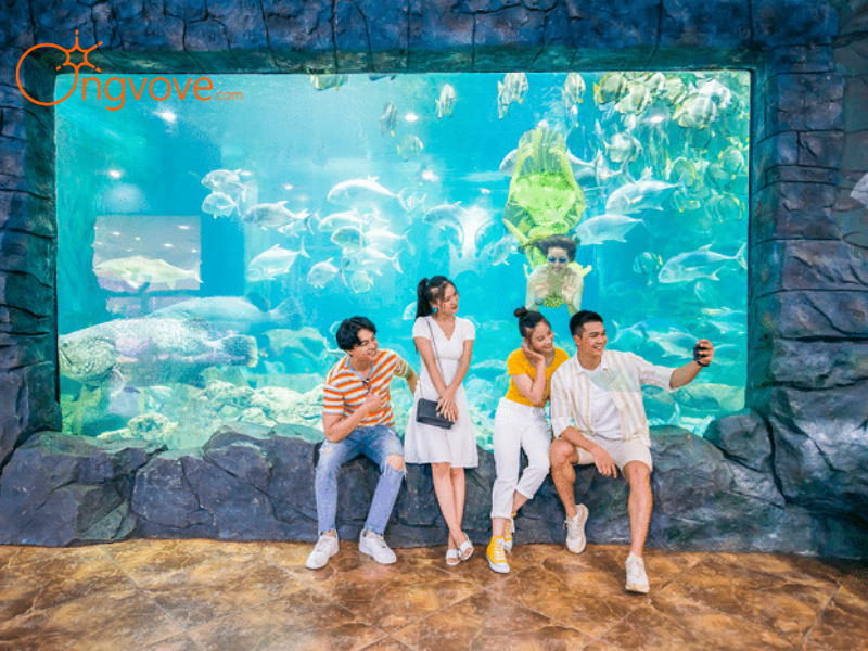 Vé Khu Vui Chơi Giải Trí: Năng Lượng Hiện Đại Giữa Lòng Thủ Đô