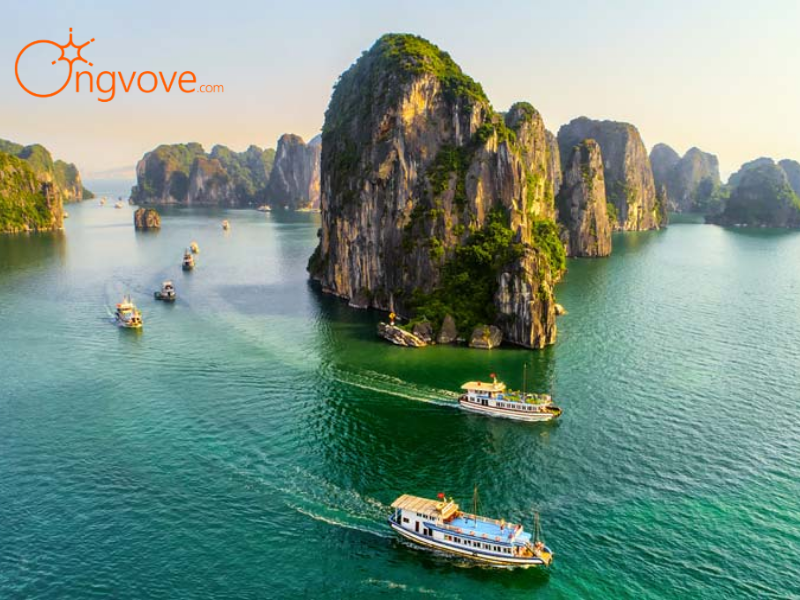 Vé Tham Quan Vịnh Hạ Long: Hành Trình Khám Phá Di Sản