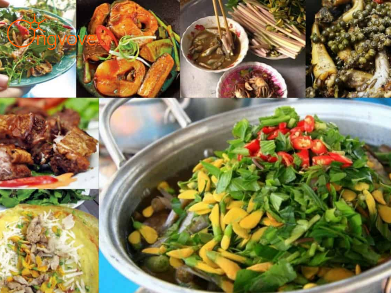 Bản Đồ Ẩm Thực Miền Tây: Những Món Ngon Phải Thử
