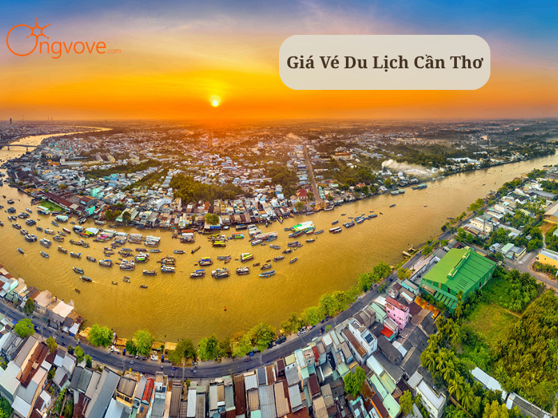 Vé Du Lịch Cần Thơ: Bảng Giá & Bí Kíp Chọn Vé Chợ Nổi, Miệt Vườn
