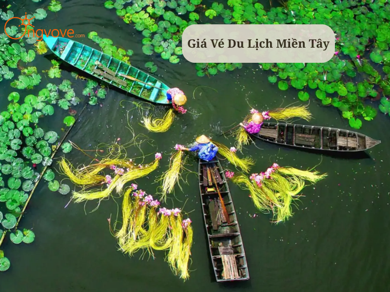 Vé Du Lịch Miền Tây : Bảng Giá & Bí Kíp Chọn Vé Chợ Nổi, Miệt Vườn