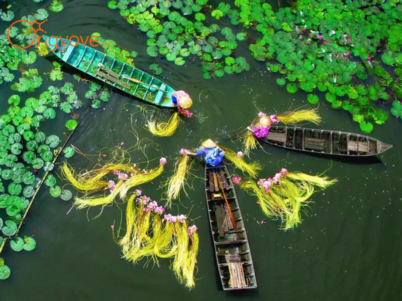 Miền Tây Mùa Nào Đẹp Nhất?