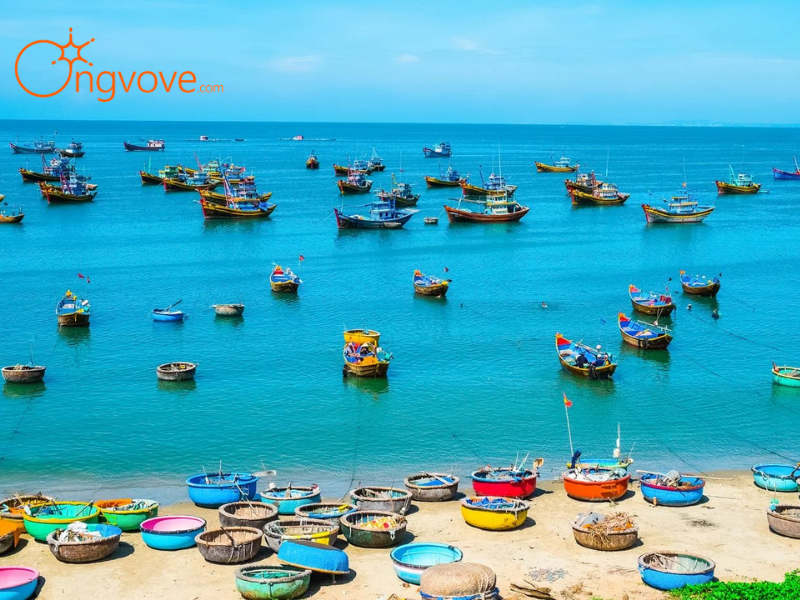 Ngày 1: Chào Mũi Né & Hoàng Hôn Trên Đồi Cát Bay