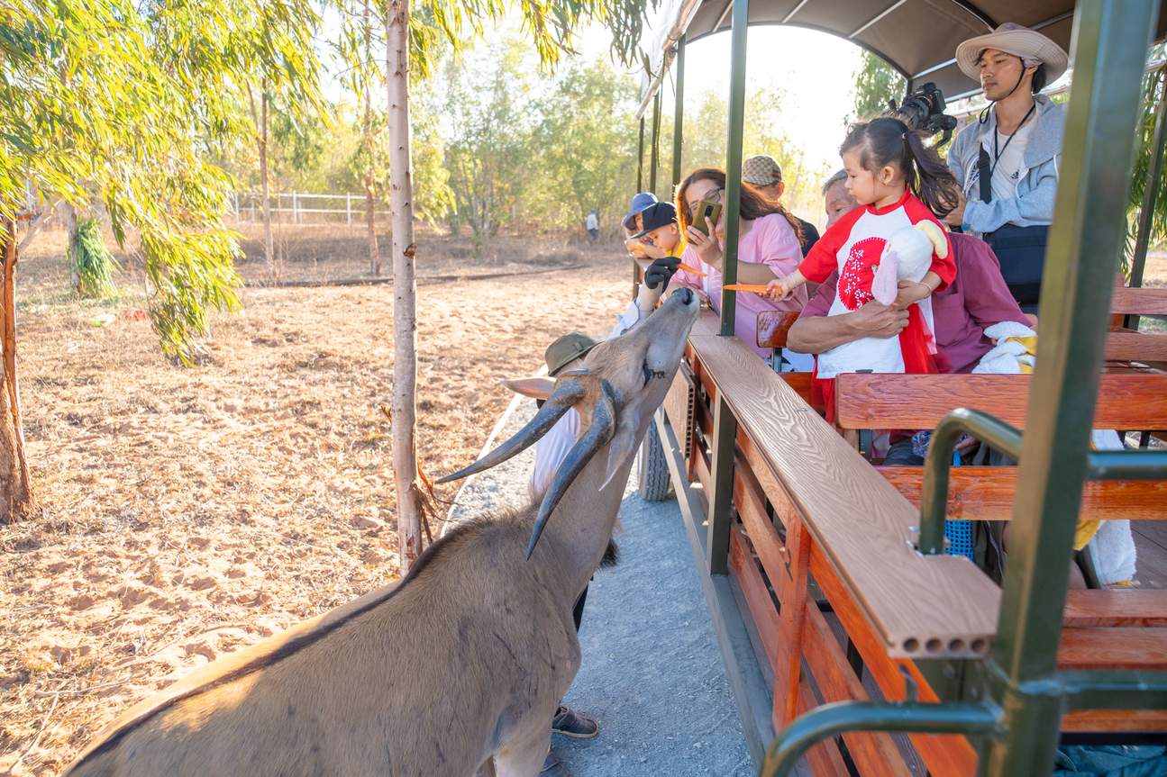 Safari Café & Zoo Phan Thiết