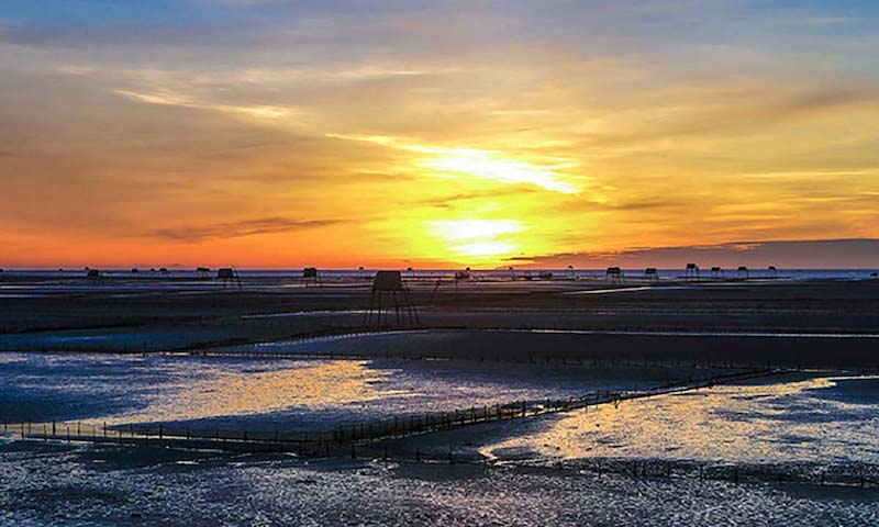 Bãi biển Cồn Đen Thái Bình