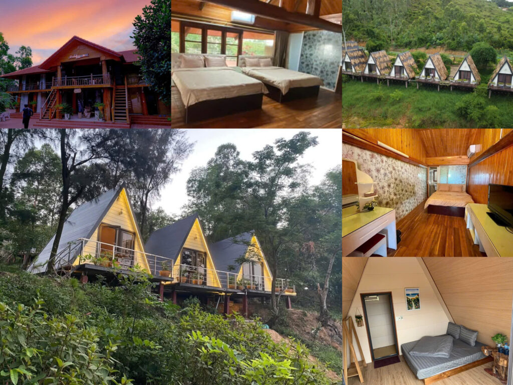 Khu vực nào tập trung nhiều homestay đẹp và độc đáo nhất?