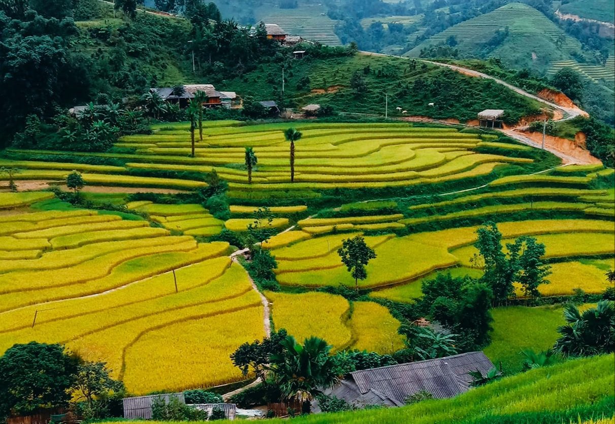 Bản Liền – Lào Cai
