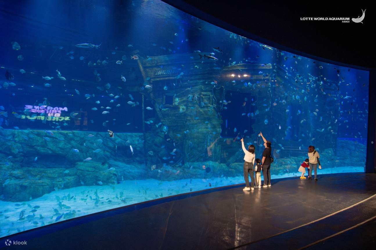 Thủy Cung Lotte World Hà Nội