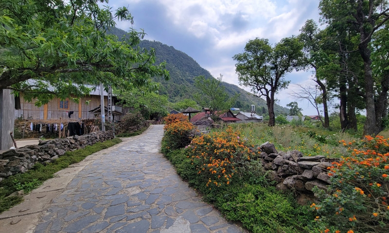 Sì Thâu Chải