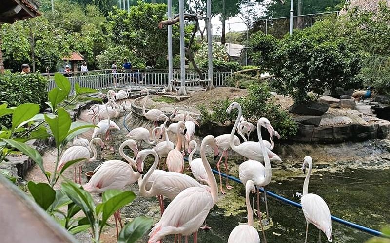 Thảo Cầm Viên
