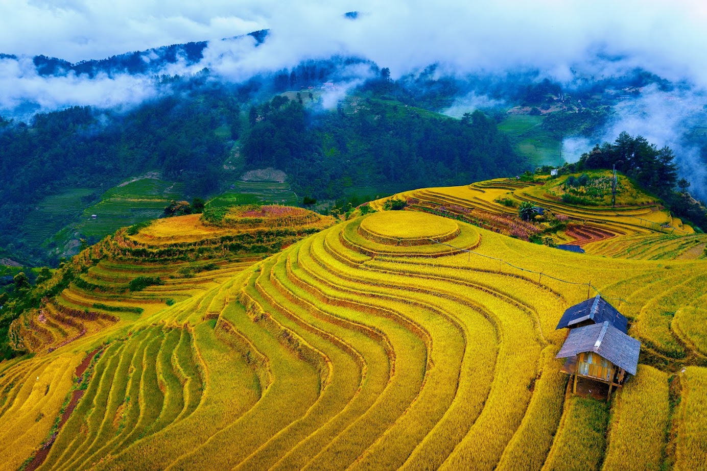 Mù Cang Chải - Yên Bái