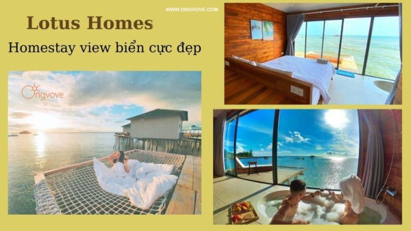 Lotus Home