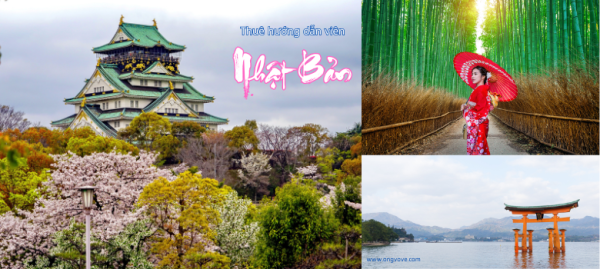 Thuê hướng dẫn viên du lịch tại Nhật Bản