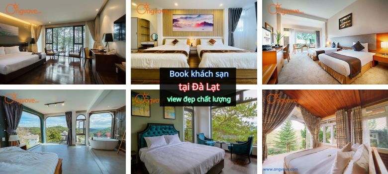 Book khách sạn Đà Lạt view đẹp đi kèm chất lượng “Hot nhất 2023”