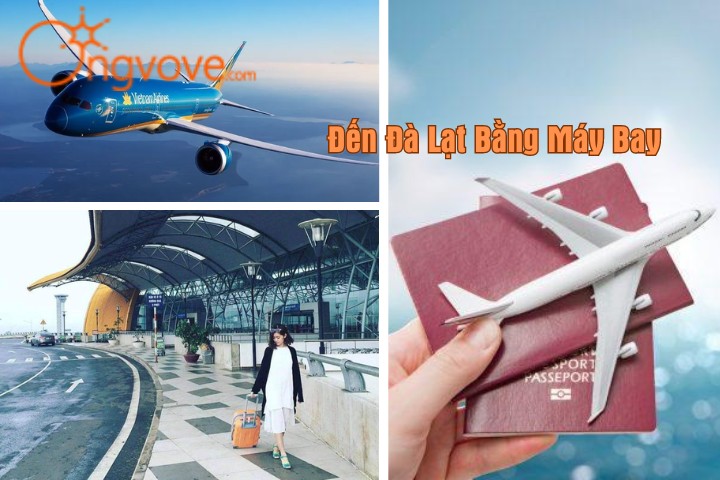 "Bỏ Túi" ngay kinh nghiệm đi đến Đà Lạt bằng máy bay