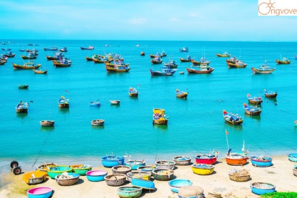 Tour Đà Lạt 3N2D - Khám Phá Bình Thuận - Đồi Chè Cầu Đất - Thác Datanla - Puppy Farm -Nhà Ga Đà Lạt