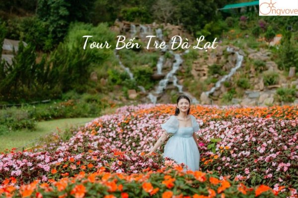 Tour Đà Lạt 3N2D - Bến Tre - Nhà Ga Đà Lạt  - Chùa Linh Phước – Đồi chè Cầu Đất -Thiền viện Trúc Lâm - Thác Datanla - Nhà thờ Con Gà – chợ Đà Lạt