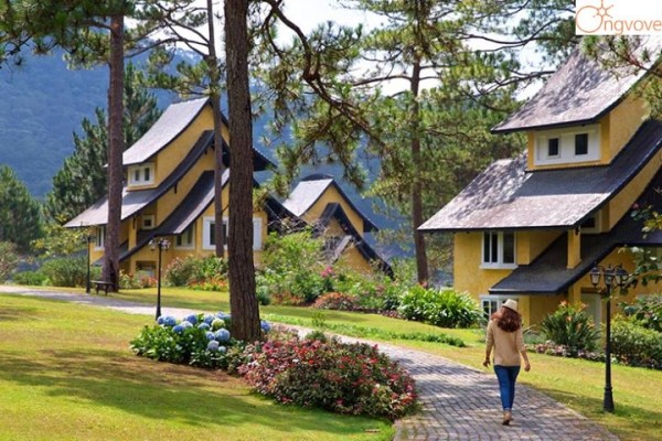 Tour Đà Lạt 3N2D - Sài Gòn - Đồi Chè Cầu Đất - Đà Lạt View Cafe - đỉnh Langbiang