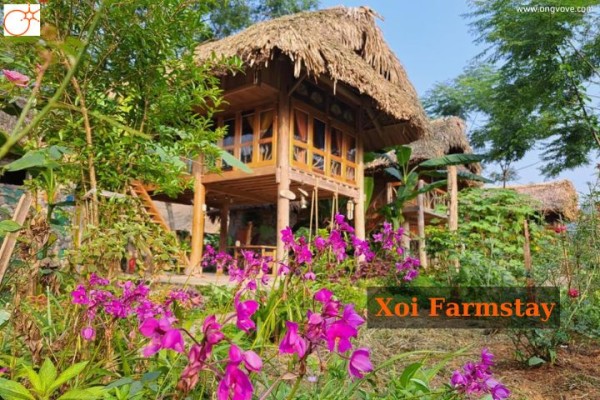 Xoi Farmstay - Homefarm in the valley of Lam Thuong