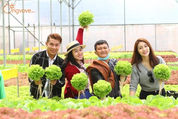 Tour du lịch Đà Lạt 1N | Khám phá nông trại nhà vườn