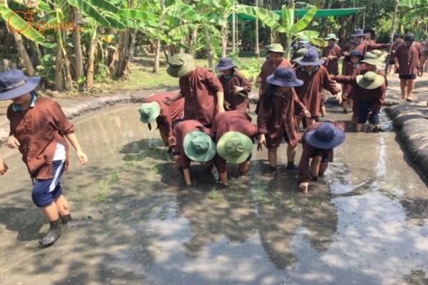 Tour Du Lịch Học Sinh | Nông Trại Vui Vẻ 1 Ngày