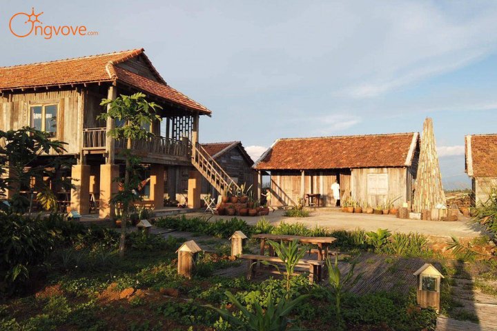 Vì sao nên trải nghiệm farmstay ở Bảo Lộc