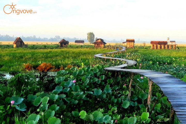 Việt Mekong Farmstay