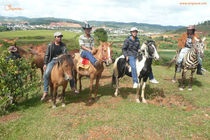Trải nghiệm cưỡi ngựa trên đỉnh Langbiang Đà Lạt