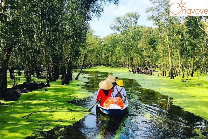 Thời điểm nào nên tham gia du lịch Tour Cà Mau Đà Lạt