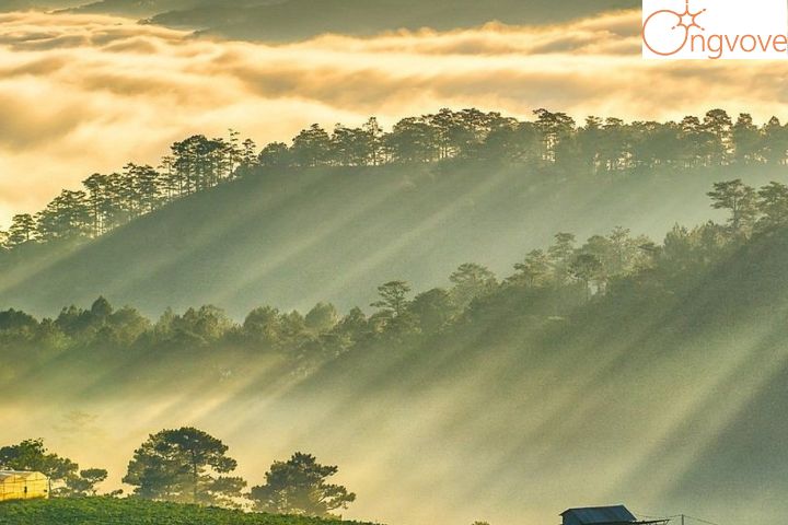 Vì sao nên chọn đi Tour Đà Lạt Vũng Tàu thay vì đi du lịch tự túc