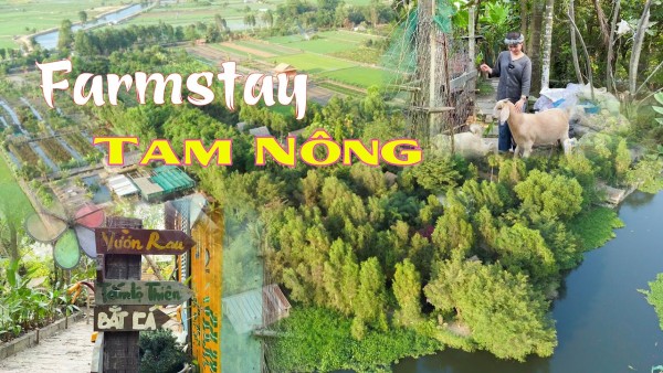 Khám Phá Tam Nông Farmstay - Chốn Bình Yên Để Bạn Thư Giãn Giữa Lòng Sài Thành