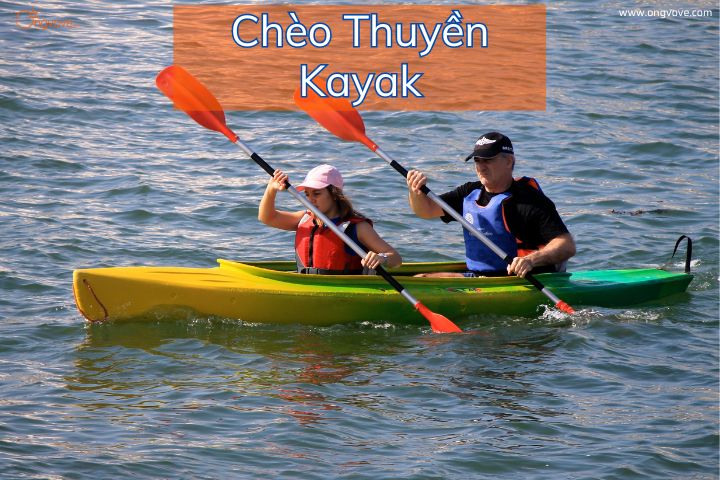 Khám Phá Vẻ Đẹp Của Chèo Thuyền Kayak Cùng Những Trải Nghiệm Đầy Mới Mẻ