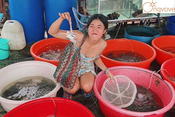 Thiên đường hải sản bật nhất - Chợ Dương Đông Phú Quốc
