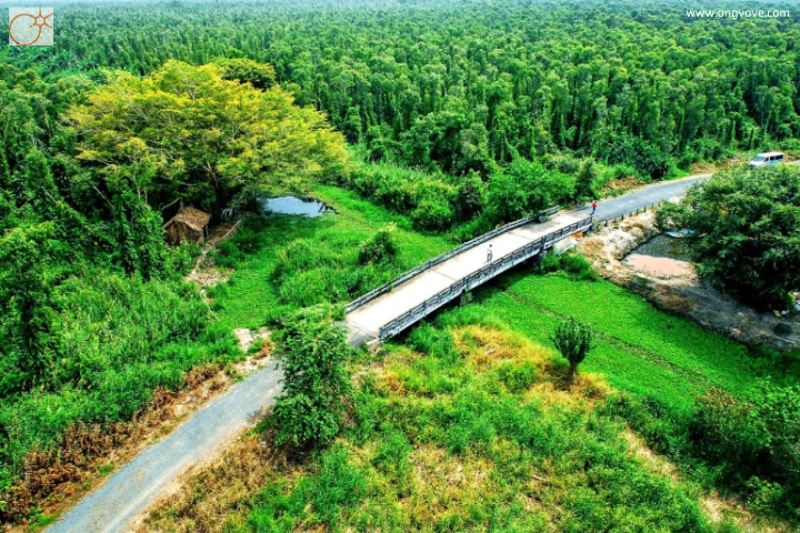 Khu du lịch sinh thái Rừng U Minh