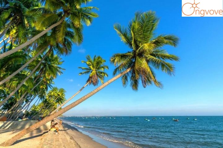 Thời điểm nào nên tham gia du lịch Tour Phan Thiết Mũi Né 
