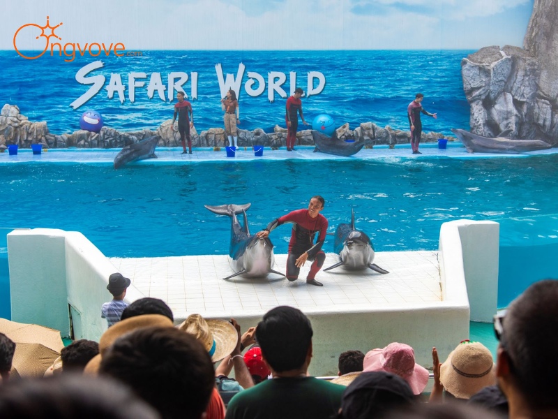 Những lý do nên ghé thăm Safari World Thái Lan