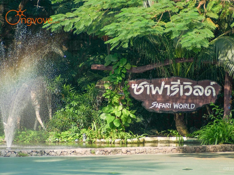 Vị trí và cách di chuyển đến Safari World Thái Lan