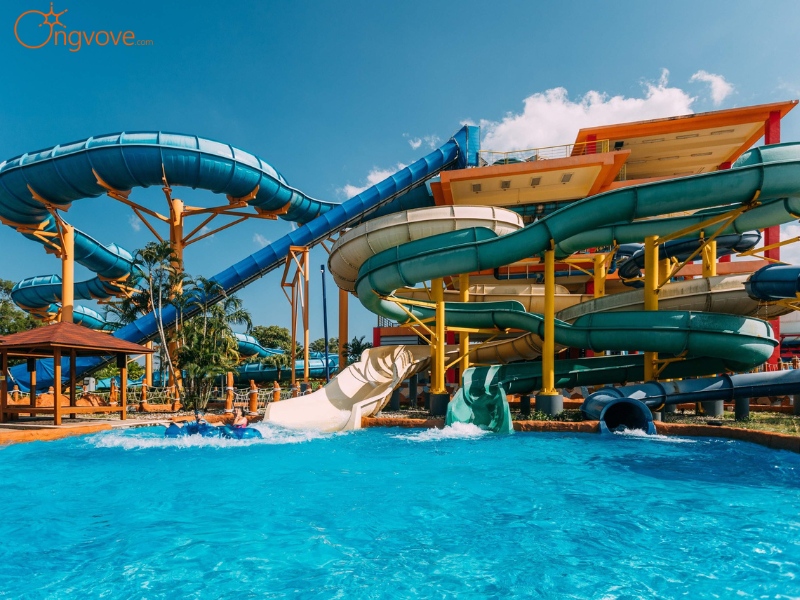 Công viên nước Splash Jungle