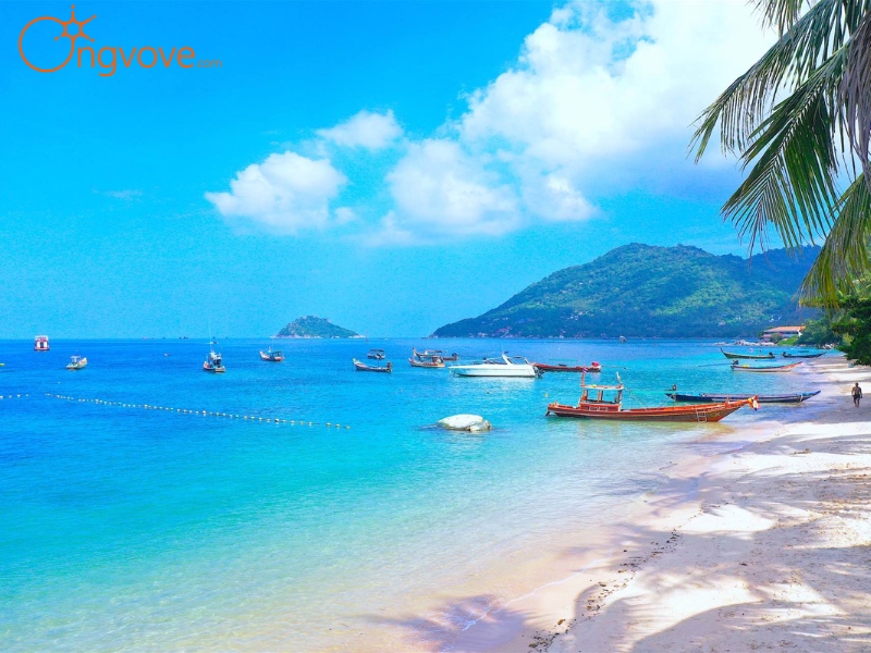 Mae Haad Beach tại Ko Tao Thái Lan