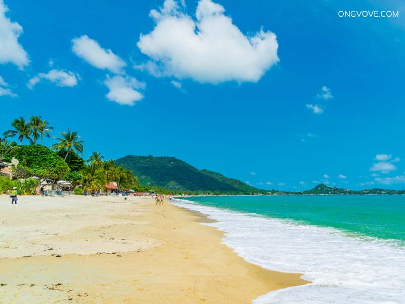 Chaweng Beach tại Koh Samui Thái Lan