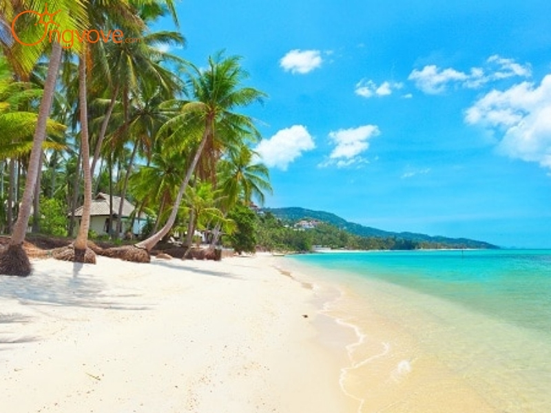 Du lịch đảo Ko Samui Thái Lan cần lưu ý những gì