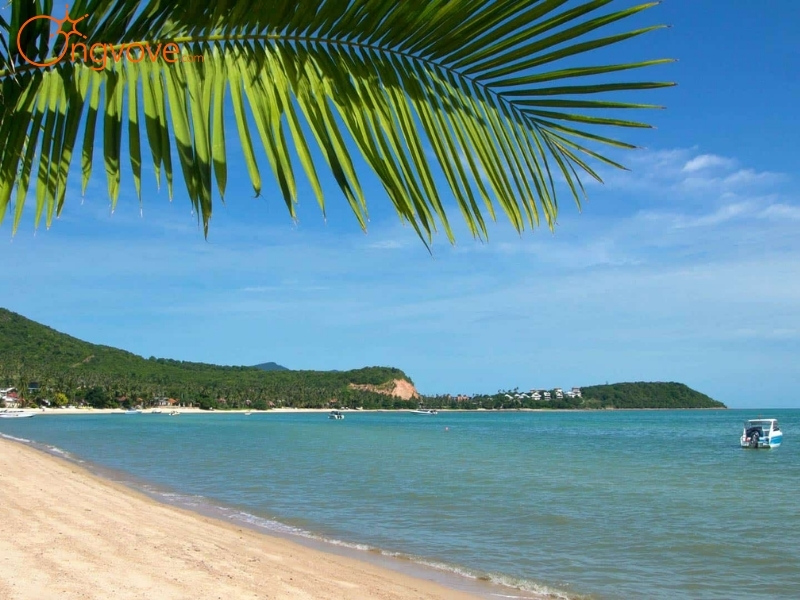 Hat Bang Rak beach tại Koh Samui Thái Lan