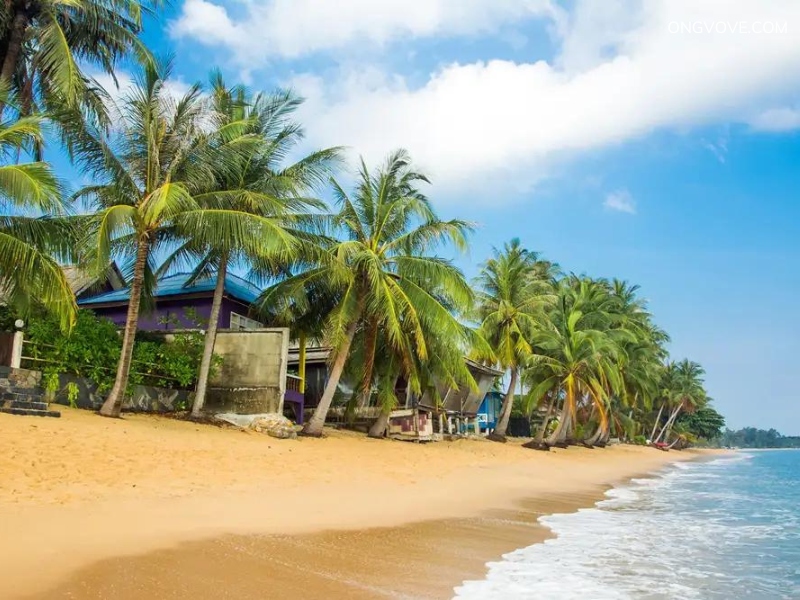 Maenam Beach tại Koh Samui Thái Lan