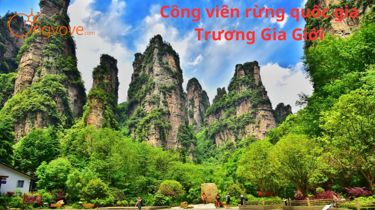 Khám Phá Công Viên Rừng Quốc Gia Trương Gia Giới: Thiên đường xanh giữa núi non hùng vĩ