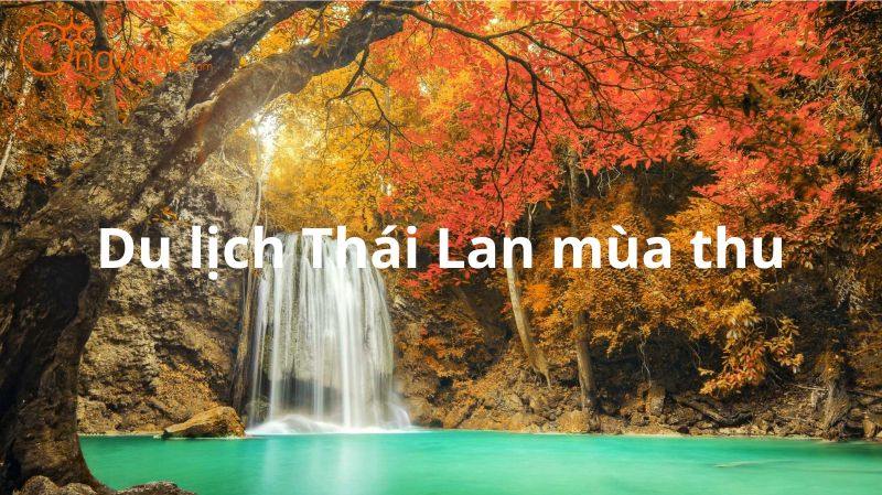 Trải Nghiệm Du Lịch Thái Lan Mùa Thu: Khám Phá Thiên Nhiên và Văn Hóa Độc Đáo