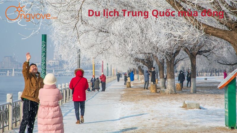 Trải Nghiệm Du Lịch Trung Quốc Mùa Đông - Khám Phá Vẻ Đẹp Tuyết Trắng và Văn Hóa Độc Đáo